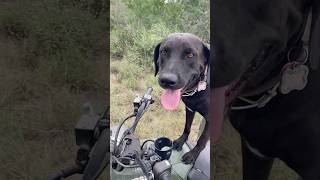 Fixing feeders with my favorite girl…🐾 [upl. by Margarethe]