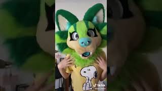 Furry cringe tiktok compilation 🤢 [upl. by Nnahgiel140]