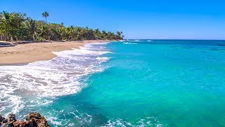 Dominican Beach with Waves Rolling  Natural Background With Ocean Sounds [upl. by Pump]