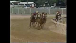 Affirmed vs Alydar  1978 Preakness Stakes [upl. by Sawyere]