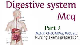 Digestive system MCQ  Part 2 [upl. by Areit314]