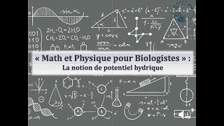 Math et Physique pour Biologistes La notion de potentiel hydrique [upl. by Elohcan]