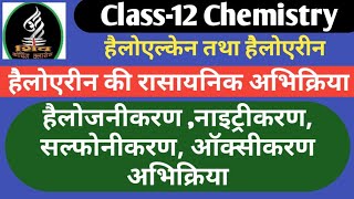 हेैलोएरीन की रासायनिक अभिक्रिया हैलोजनीकरण नाइट्रीकरणसल्फोनीकरण ऑक्सीकरण अभिक्रिया class12 [upl. by Descombes]