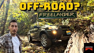 Is It Really THAT BAD Torture Testing My Low Milage Land Rover Freelander On amp OFFROAD [upl. by Naharba]