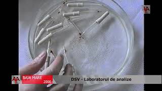 BAIA MARE 2000  DSV  Laboratorul de analize [upl. by Ahsiret]