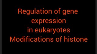 regulation of gene expression in eukaryotes [upl. by Emixam]