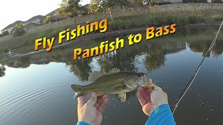 Fly Fishing on a pond Panfish to bass [upl. by Otrebireh227]