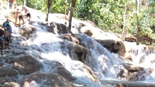 Dunns River Falls liveenjoy nature [upl. by Adikam]