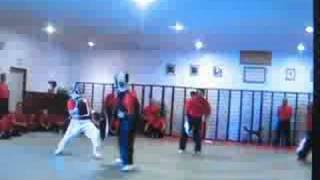 Bogu Kumite 662008 [upl. by Sinnaoi]