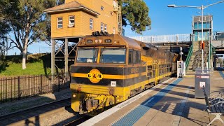 Triple Header quotOne Rail Australiaquot Coal Train Cruising Thru Maitland [upl. by Naletak]