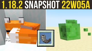 Minecraft 1182 Snapshot 22w05a Two Updates In One Day [upl. by Silvia483]