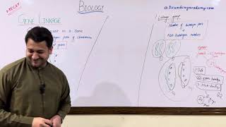 GENE LINKAGE  LINKAGE GROUPS  HOMOLOGOUS and NON HOMOLOGOUS CHROMOSOMES [upl. by Atilek]