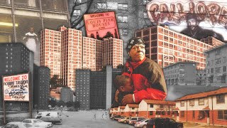 quotMost Infamousquot Public Housing Projects in American History Documentary Crime  Hoods [upl. by Aciruam]