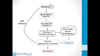 Hematology USMLE Step 1 — Anticoagulant Drugs — Boards and Beyond [upl. by Avuha]