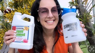 Fertilizing Orchids New Products Let’s Bring on the BLOOMS [upl. by Oberstone]