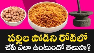 SPICY GROUNDNUT POWDER l వేరుశెనగ పొడి l Pallela Podi  TRADITIONAL FOODS [upl. by Ingeborg240]