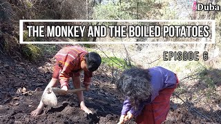 The monkey and the boiled potatoes  Episode 6 iDuba [upl. by Iz]