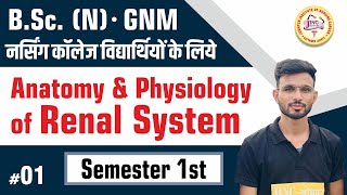 Anatomy amp Physiology of Renal System 01BSc N Semester 1st  OP Sir [upl. by Novit687]