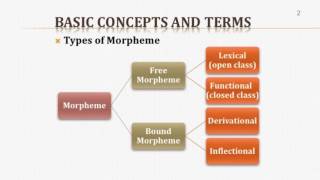 Introduction to Linguistics II Morphology 1 [upl. by Hamer]