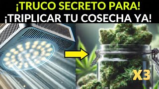 ¡EL SECRETO PARA TRIPLICAR TU COSECHA EN POCO TIEMPO ESTÁ AQUÍ [upl. by Koal]