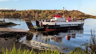 Dolphins Chasing MV Loch Tarbert [upl. by Rimidalg]