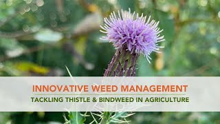 Innovative Weed Management Tackling Thistle and Bindweed in Agriculture [upl. by Sualakcin955]