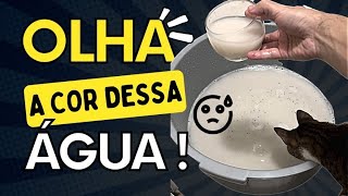 Como lavar o substrato para seu aquário Lavando o substrato de Aragonita aquarismo [upl. by Boyd]