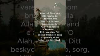 Hadith på svenska [upl. by Akinohs]