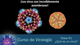 Clase 1  ¿Qué es un virus [upl. by Syxela]