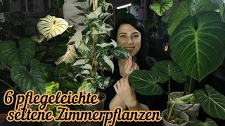 Pflegeleichte seltene Zimmerpflanzen  Philodendron [upl. by Dennison]