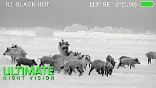 Wild Boar Hunting in Texas  40 Hogs Down with the Armasight Zeus Thermal Scope [upl. by Nordna]