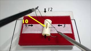 FLS and beyond Intracorporeal knot  Tips and Tricks [upl. by Sloan]