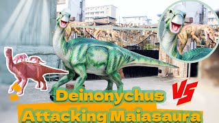 MY DINO Manufacturer  Fighting Dinosaurs Deinonychus Attacking Maiasaura [upl. by Inaboy]