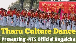 New Tharu Song  Tharu Culture Dance  Tharu Sakhiya Nach [upl. by Ttnerb]