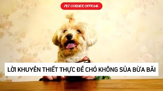 Làm cách nào để chó không sủa bừa bãi  Cách huấn luyện chó cơ bản  Pet Corner [upl. by Cyrano]