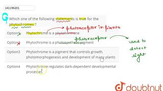 Which one of the following statements is true for the phytochromes   12  PLANT GROWTH AND DE [upl. by Elmaleh]