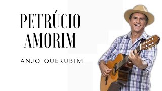 Anjo Querubim  Petrúcio Amorim [upl. by Halilak]