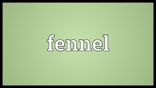 Fennel Meaning [upl. by Armbrecht]