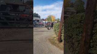 Dog attacks police officer gets tased [upl. by Ahsekad904]