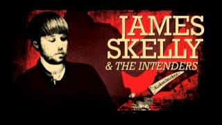 James Skelly amp The Intenders  Im A Man [upl. by Okihsoy]