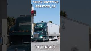 TRUCK SPOTTING 01259  PETERBILT automobile semitrailer trucker [upl. by Lochner568]