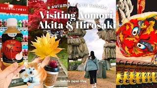 JAPAN TRAVEL VLOG Autumn trip to Tohoku  Exploring Aomori Akita amp Hirosaki [upl. by Valorie602]