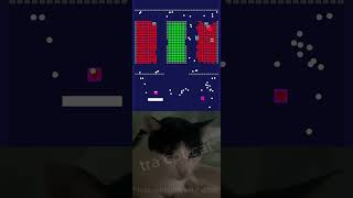 chipichipi cat tra cpt brickbreaker videogames shortviral funny cute chipichipi ep 325 [upl. by Sheena374]