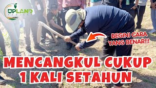 Petani Harus Tau Cara Ini ‼️ Cara Mengolah Lahan Tandus Menjadi Subur  UPLAND Project [upl. by Enak149]