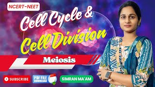 Cell Cycle amp Cell Division  Meiosis  NCERT Class 11NEET  SIMRAN MAAM [upl. by Adav]