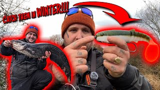 How To Catch Wels Catfish On Lures IN THE UK [upl. by Bundy]