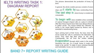 IELTS Writing Task 1  Diagram English Version [upl. by Cly]