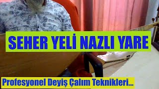 SEHER YELİ NAZLI YARE Profesyonel Bağlama Dersleri [upl. by Niels382]