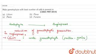 Male gametophyte with least number of cells is present in [upl. by Lorollas302]