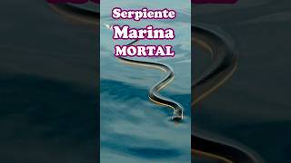 Serpiente Marina ciencia animales híbrido datocurioso biologia [upl. by Je]